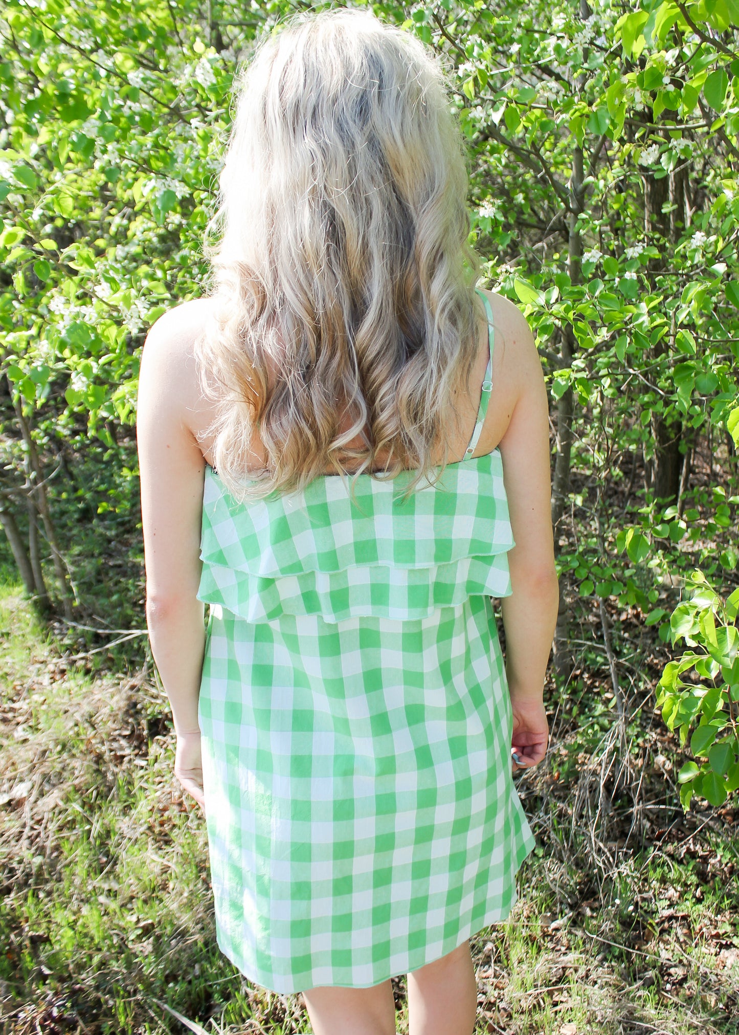 Picnic In The Park Green Gingham Dress